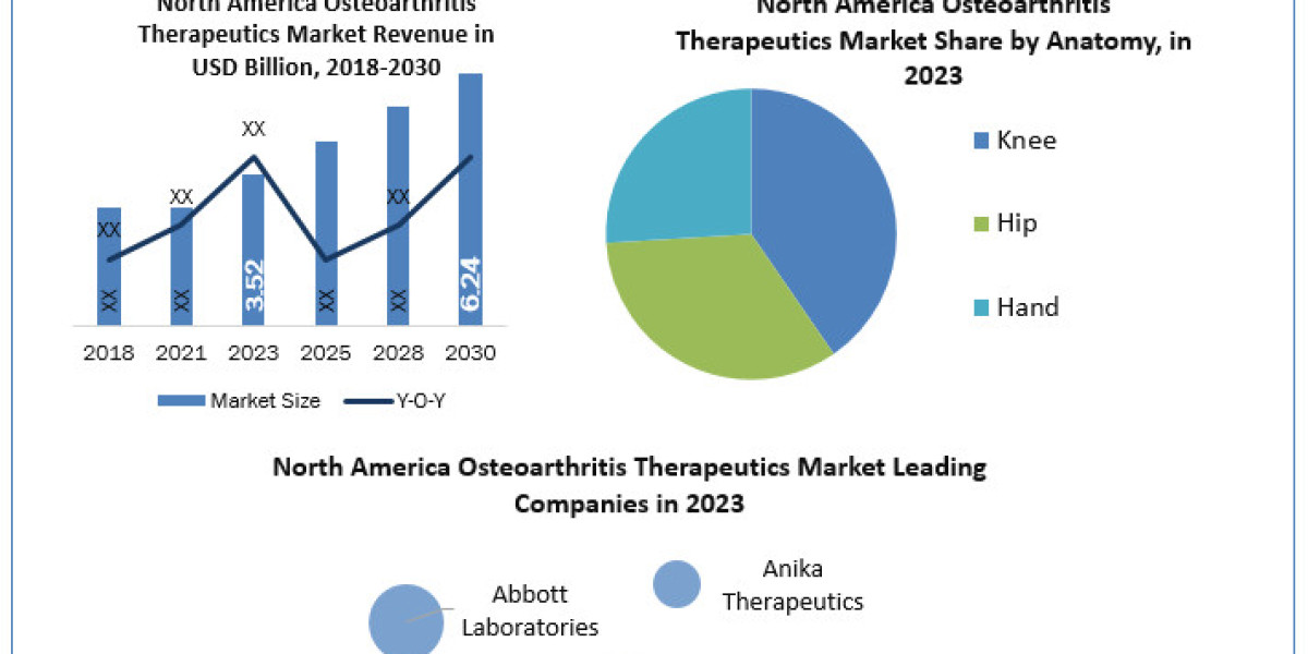 North America Osteoarthritis Therapeutics Market	Worth the Numbers: Size, Share, Revenue, and Statistics Overview | 2024