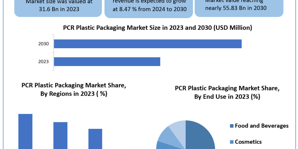 PCR Plastic Packaging Market Statistical Spotlight: Segmentation, Outlook, and Overview for Business Growth | 2024-2030