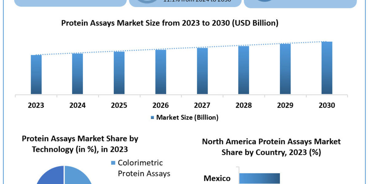 Protein Assays Market Uncharted Territory: Size, Share, Revenue, and Worth Statistics Overview | 2024-2030