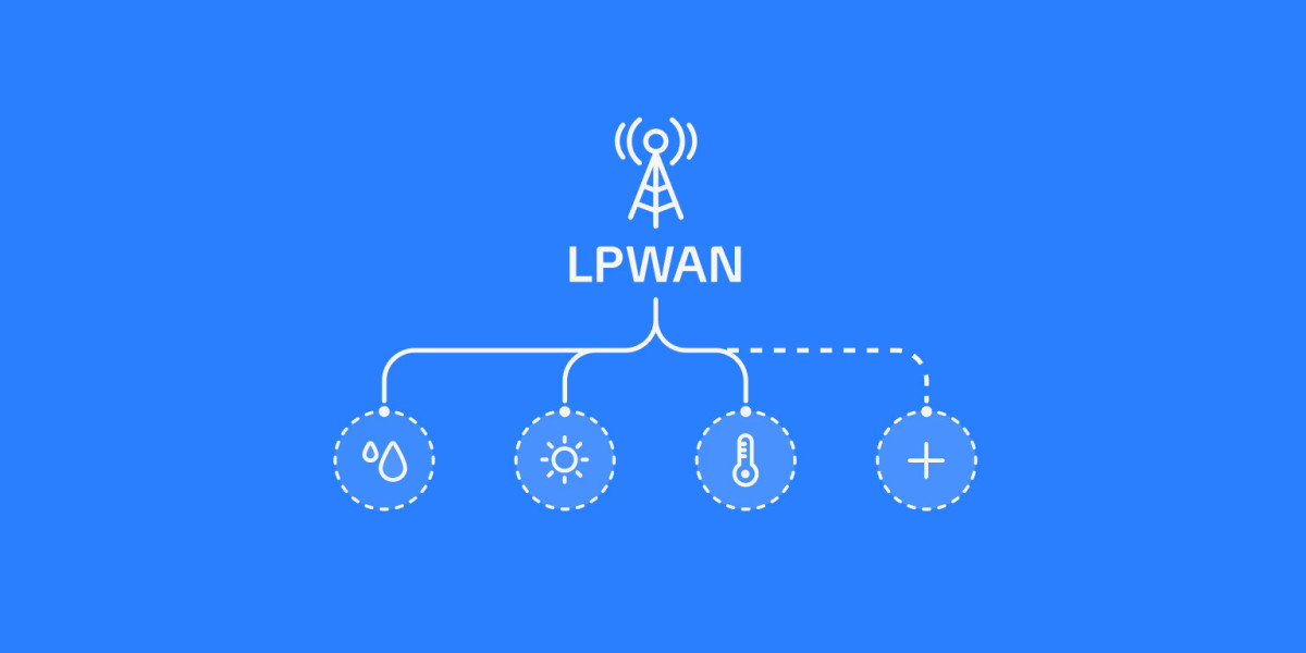 LPWAN in the Consumer IoT Market Size and Share Report: Anticipated Trends 2024-2032