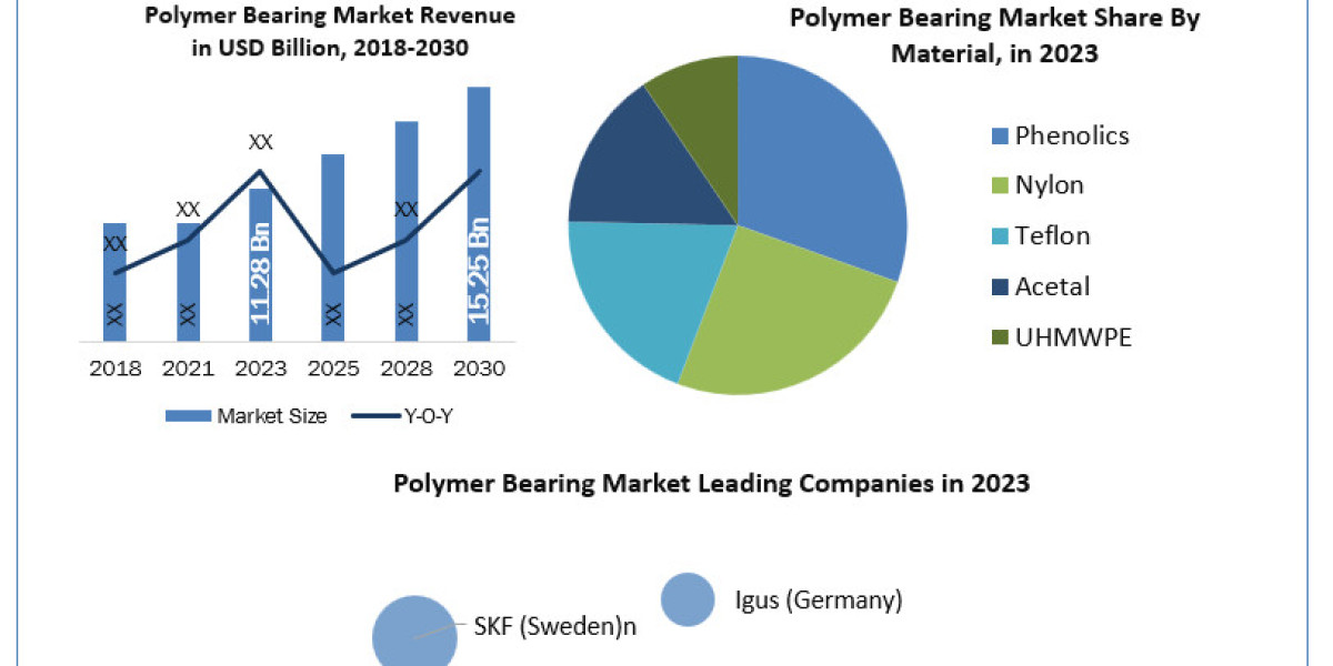 Polymer Bearing Market  Global Share, Segmentation, Analysis, Future Plans and Forecast 2024-2030