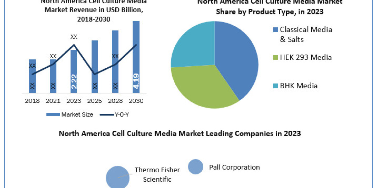 North America Cell Culture Media Market 	Data Decoded: Segmentation, Outlook, and Overview for Business Success