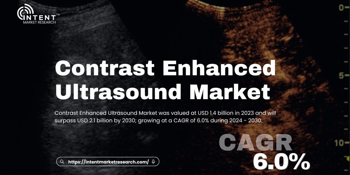 Contrast Enhanced Ultrasound Market: A Key Player in the Future of Real-Time Imaging Technology