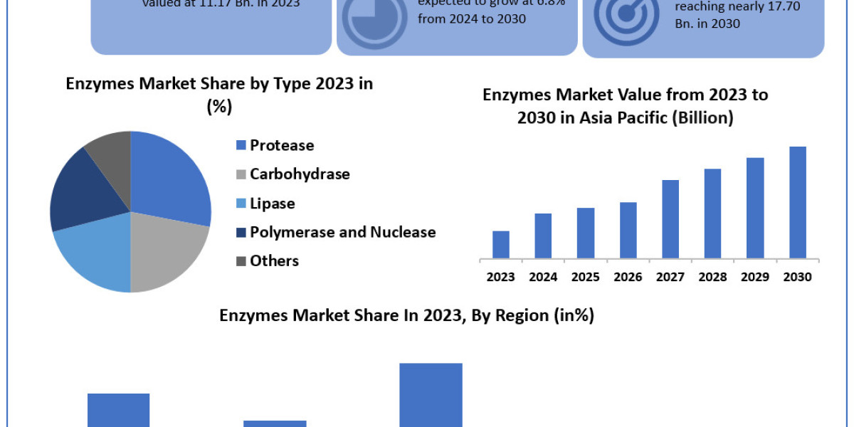 Enzymes Market	Worth the Numbers: Size, Share, Revenue, and Statistics Overview | 2024-2030