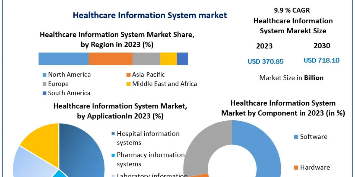 Healthcare Information System Market Metrics Matrix: Segmentation, Outlook, and Overview in Market Dynamics | 2024-2030