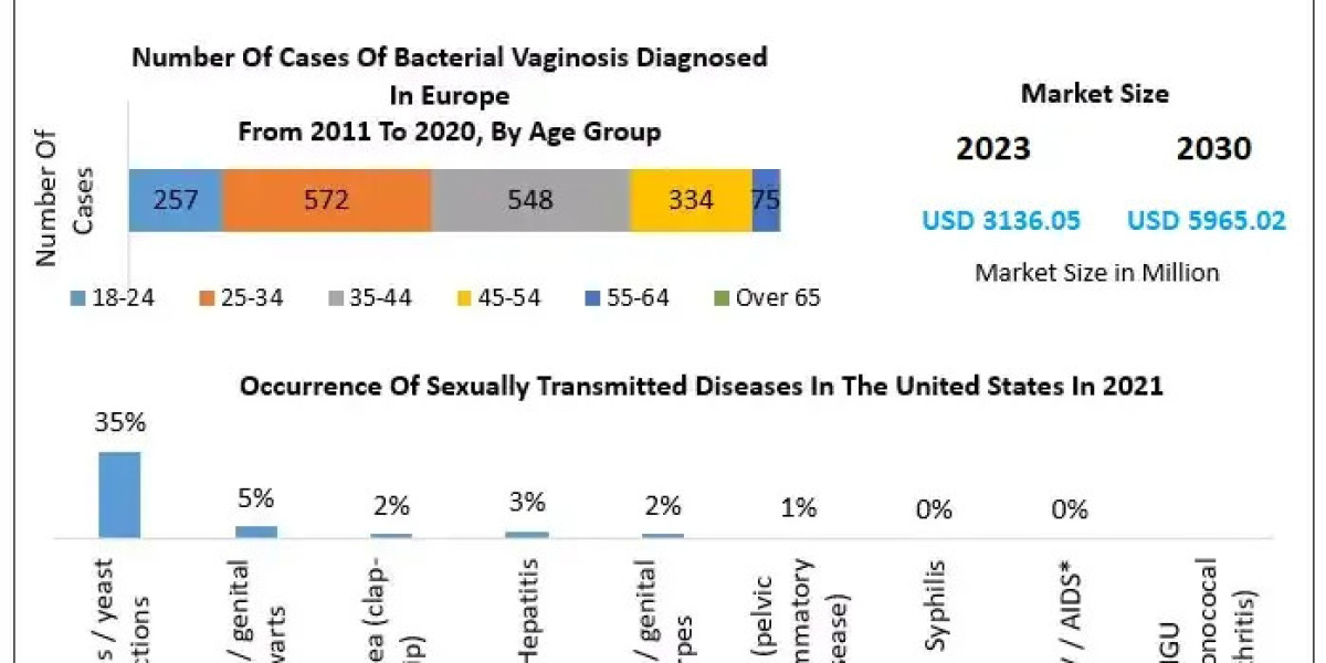 Bacterial Vaginosis Market Segmentation, Outlook, and Overview Trends | 2024-2030