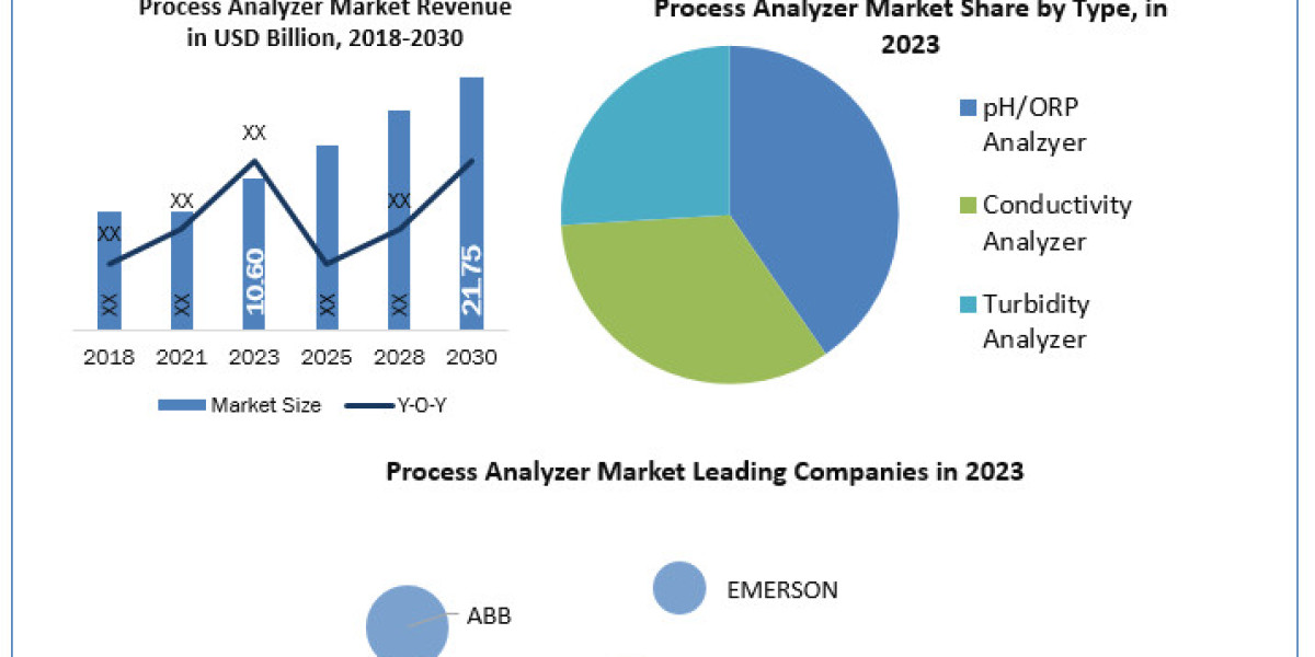 Process Analyzer Market Growth, Size, Revenue Analysis, Top Leaders and Forecast 2024-2030