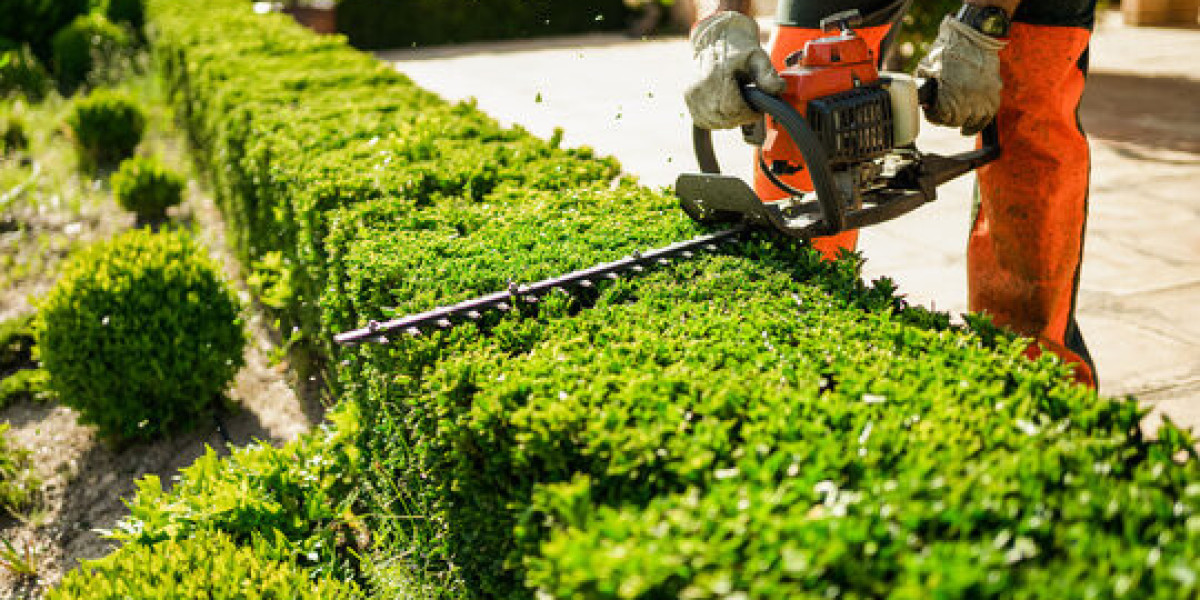 The Benefits of Regular Hedge Trimming for Your Auckland Garden