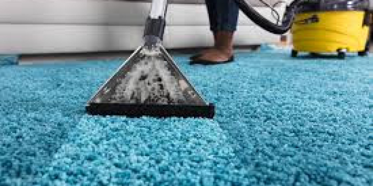 Why Consistent Carpet Cleaning Is Key to Home Comfort and Wellness